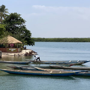 PRIVATE TOUR - 9 DAYS / 8 NIGHTS SENEGAL ELISABETH JONES – Image 13