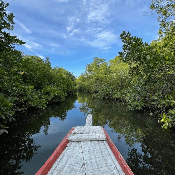 Journée Sine Saloum Private