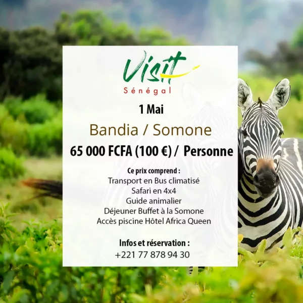 affiche excursion visiter le senegal Bandia & Somone